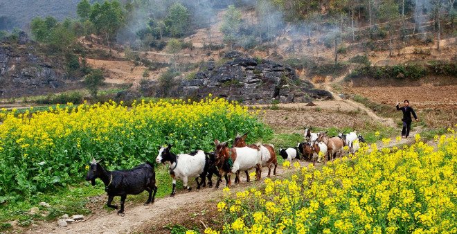 Ngỡ ngàng lạc lối vào xứ sở kỳ lạ của đá - 5