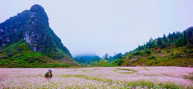 Bản nhạc phối hợp giữa đá và hoa khiến du khách như lạc lối vào cõi tiên