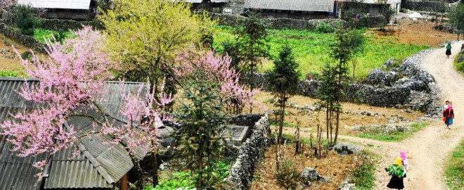 Ở đây dường như nhà nào cũng làm hàng rào bằng đá. Đá như có số phận, đá như có linh hồn