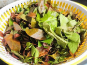 Lifestyle - Loại rau mọc hoang thành đặc sản Bình Phước, người thành phố thi nhau mua, giá 120.000 đồng/kg