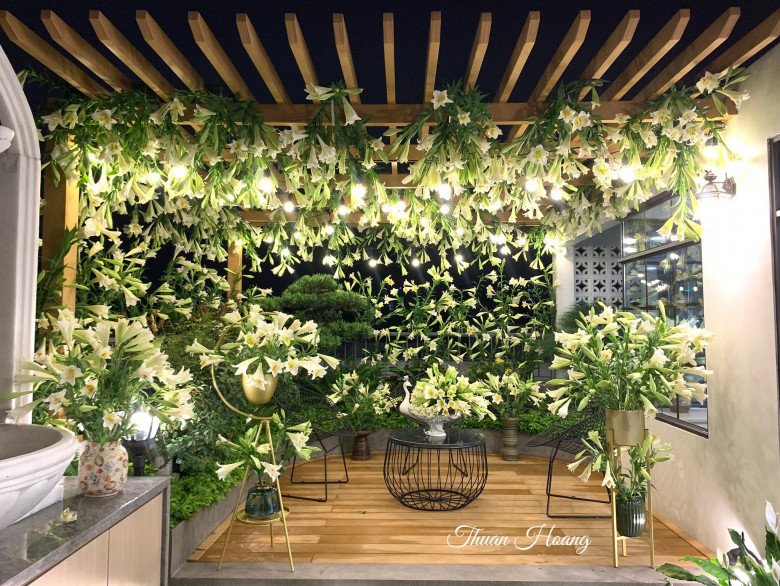 Mẹ đảm Hà Nội vác 2000 bông hoa loa kèn lên tầng 4, biến ban công thành vườn hoa đẹp mê ly - 11