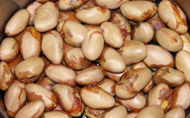 Hạt mít là một món ăn vặt phổ biến của trẻ em thời xưa.