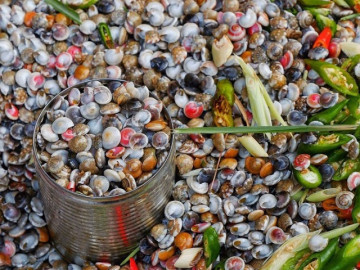 Loài vật tí hon là đặc sản Quảng Bình, phải kiên nhẫn mới ăn được nhưng hương vị gây nghiện