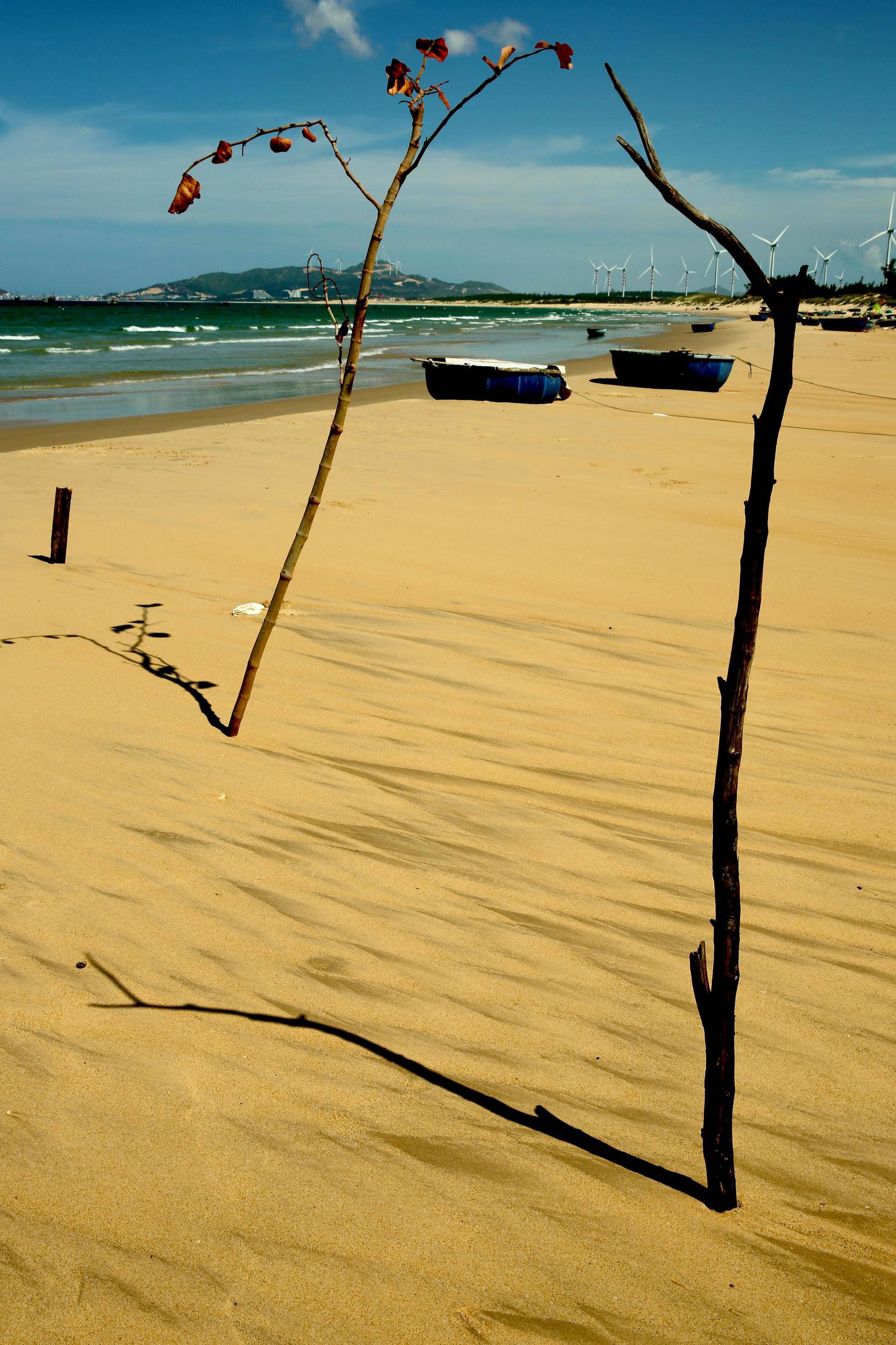 Biển Cát Tiến - Quy Nhơn không ồn ào tấp nập như những nơi khác, nhưng vô cùng hấp dẫn bởi vẻ đẹp lãng mạn, nguyên sinh, bình yên và thơ mộng. Sự quyến rũ của biển Cát Tiến làm du khách ngỡ ngàng trước vẻ đẹp độc đáo hài hoà giữa thiên tạo và nhân tạo.