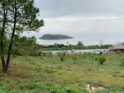 Xem ăn chơi - Đến Vũng Chùa - Đảo Yến bày tỏ lòng thành kính với vị tướng tài ba