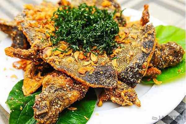 Nghề lạ ở Việt Nam: Nuôi loài lạ nhìn amp;#34;sợ khiếp víaamp;#34;, cho ăn toàn thứ rẻ tiền, nhàn tênh mà bán mỗi con lãi vài triệu - 3