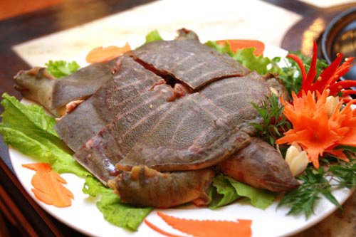 Cua đinh có thể chế biến thành nhiều món ăn ngon, là đặc sản được ưa chuộng trong các nhà hàng, quán ăn ở miền Tây