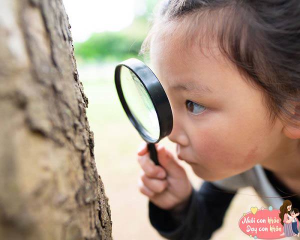 Tò mò, thích khám phá là đặc điểm thường thấy ở những đứa trẻ có chỉ số IQ cao.