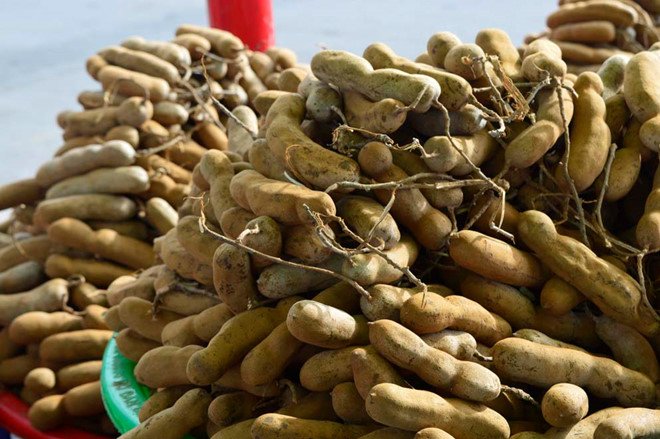 Me là thứ quả dân dã gắn với tuổi thơ của những đứa trẻ sinh ra ở các miền quê