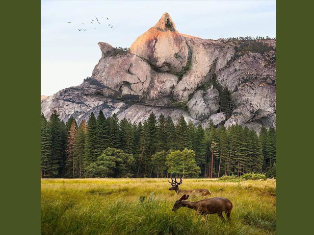 Trắc nghiệm tâm lý: Hình ảnh nhìn thấy đầu tiên tiết lộ chỗ dựa của bạn trong đời