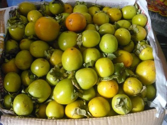 Khi ăn chúng ta có thể cảm nhận được cảm giác giòn sần sật và dai dai.