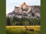 Eva tám - Trắc nghiệm tâm lý: Hình ảnh nhìn thấy đầu tiên tiết lộ chỗ dựa của bạn trong đời