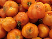 Nhà đẹp - Cà chua hỏng đừng vứt đi mà phí, chúng càng thối càng nhiều hữu ích bất ngờ