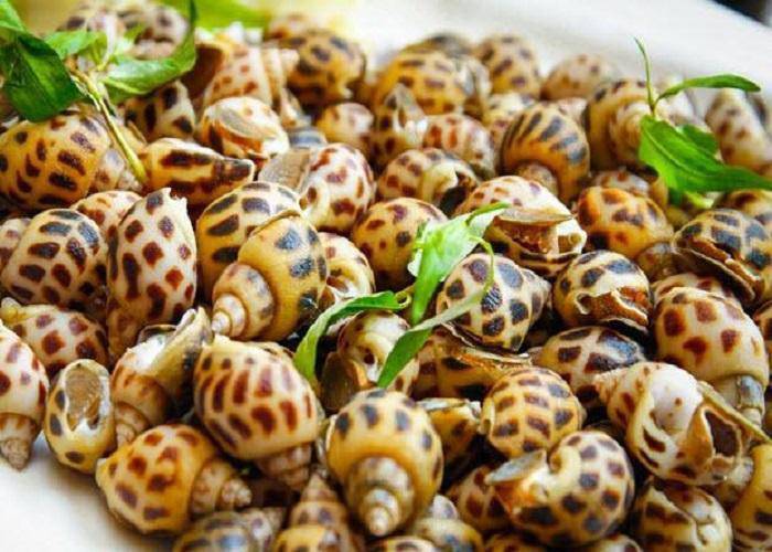 Tại Việt Nam, ốc hương có nhiều ở vùng biển phía Nam như Khánh Hòa, Phan Thiết (Bình Thuận), Cần Giờ (TP.HCM) và Nam Bộ...