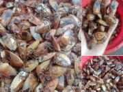 Tiêu dùng - Đặc sản nổi tiếng Sơn La, có mùi hôi đáng sợ xưa không ai ăn, nay được dân thành phố ưa chuộng đến lạ, 450.000đồng/kg