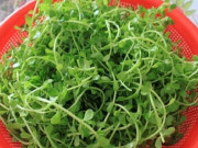 Tiêu dùng - Loại rau mọc hoang xưa là thực phẩm "cứu đói", giờ thành đặc sản xuất hiện trong thực đơn tại nhà hàng, 95.000 đồng/kg