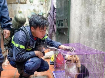 Tin tức 24h: Xúc động di ảnh Trung uý Đỗ Đức Việt bên chú cún được cứu sau đám cháy