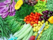 Sức khỏe - Ăn rau gì để giảm mỡ máu? Mỡ máu bao nhiêu thì là cao?