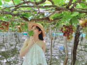 Xem ăn chơi - "Nhuộm da" ở vùng đất đầy nắng gió, cùng cung đường biển đắm say lòng người