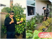 Nhà đẹp - Sao Việt làm vườn bên Mỹ: Vợ "Vua cá Koi" mát tay, Quang Lê đi xa không quên quê hương