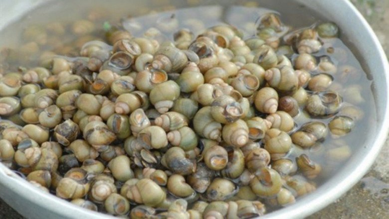 Đặc sản tí hon ở Tiền Giang một thời rẻ, nay nổi tiếng ngon, 160.000 đồng / kg không mấy ai thưởng thức - 1