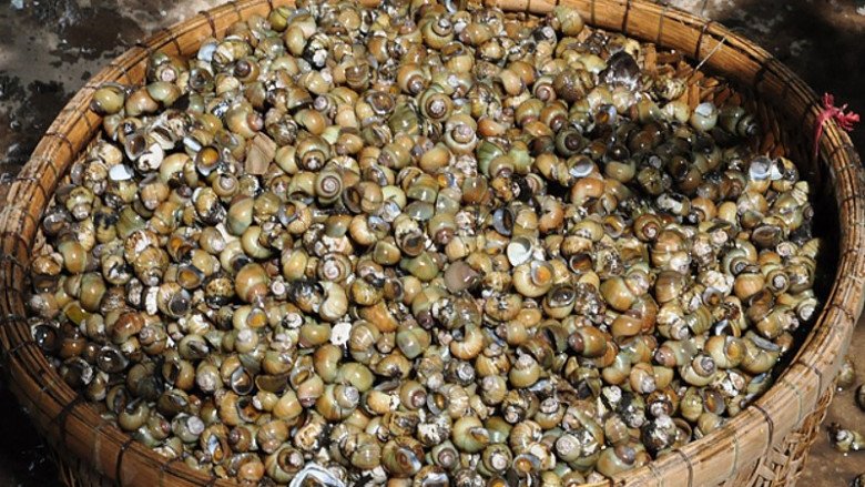 Đặc sản tí hon ở Tiền Giang một thời rẻ, nay nổi tiếng ngon, 160.000 đồng / kg không mấy ai thưởng thức - 3