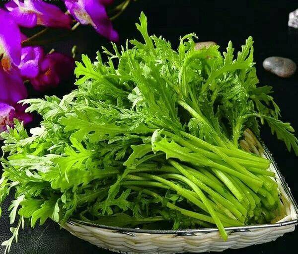 Trắc nghiệm tâm lý: Bạn ghét loại rau nào nhất? - 4