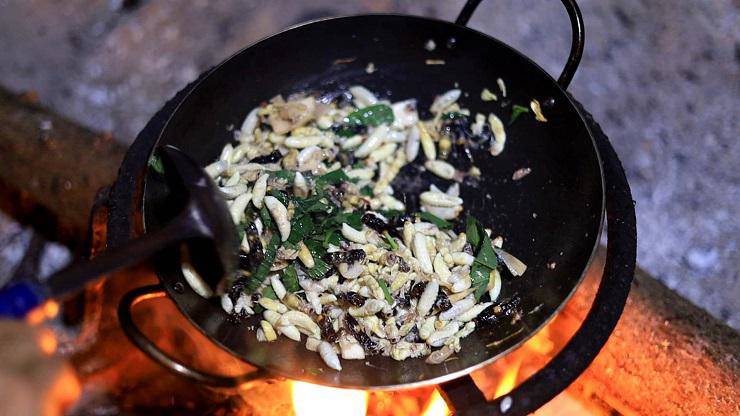 Ong vò vẽ rang lá chanh là món ăn được dân nhậu yêu thích. (Ảnh: Bước chân vùng cao).