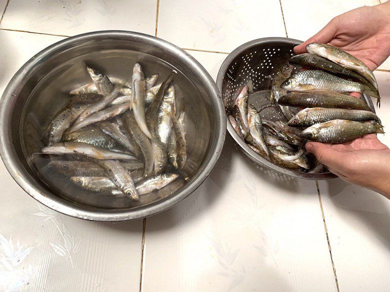 Dù có kích thước bé nhưng loài cá này sống ở khe suối, ăn rong rêu nên thịt có vị ngọt riêng