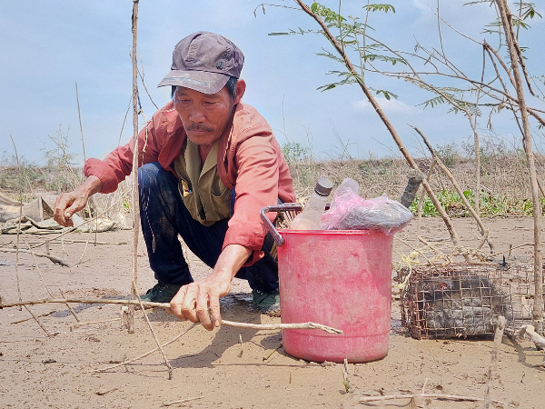 Nghề lạ ở Việt Nam: Bẫy loài phá hoại mùa màng, bốc mùi hôi nhưng là đặc sản nổi tiếng, kiếm tiền triệu mỗi ngày - 5