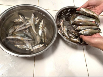 Loài cá lạ tên rất đặc biệt, xưa rẻ bèo nay là đặc sản nổi tiếng Cao Bằng, vô cùng khan hiếm, 100.000 đồng/kg