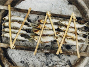 Xem ăn chơi - Loại cá nhỏ bằng ngón tay là đặc sản nức tiếng của Phú Yên