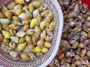 Tiêu dùng - Đặc sản cực hiếm ở Đồng Nai, xưa ít người biết đến, giờ nổi tiếng ngon ngọt được dân thành phố "săn lùng", 360.000 đồng/kg