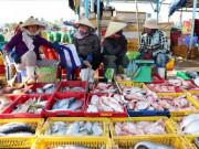 Xem ăn chơi - 5 khu chợ hải sản sầm uất bậc nhất Đà Nẵng, con gì cũng có lại cực ngon - bổ - rẻ