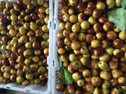 Tiêu dùng - Loại quả bé tí xưa có đầy không ai hái, giờ thành đặc sản thơm ngon chị em thành phố "săn lùng", 200.000 đồng/kg