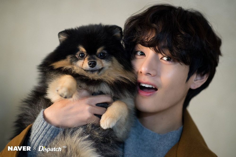 Chú chó phốc sóc Yeontan của V (BTS)