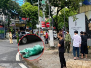 Từ vụ việc sát hại người tình trên phố Hàng Bài: Khi đánh hơi thấy sự nguy hiểm, tôi chọn thoát thân