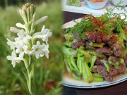 Xem ăn chơi - Loại hoa rẻ bèo thường dùng thắp hương lại ăn quá ngon