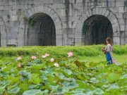 Xem ăn chơi - Ngỡ ngàng trước khung cảnh thanh bình ở di sản Thành nhà Hồ