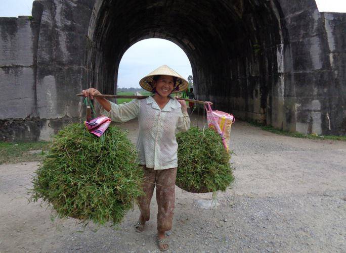 Ngỡ ngàng trước cảnh thanh bình ở di sản Thành nhà Hồ - 6