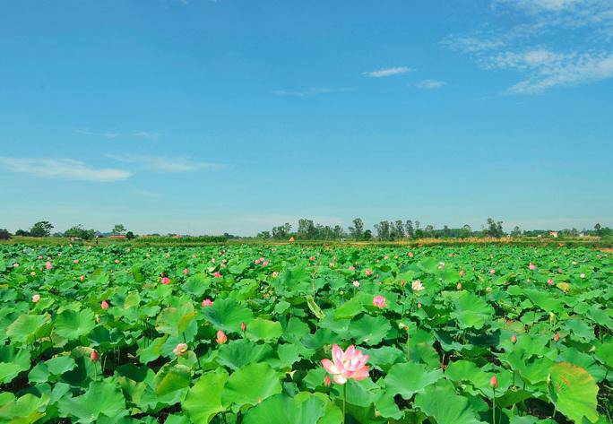 Ngỡ ngàng trước cảnh thanh bình ở di sản Thành nhà Hồ - 14