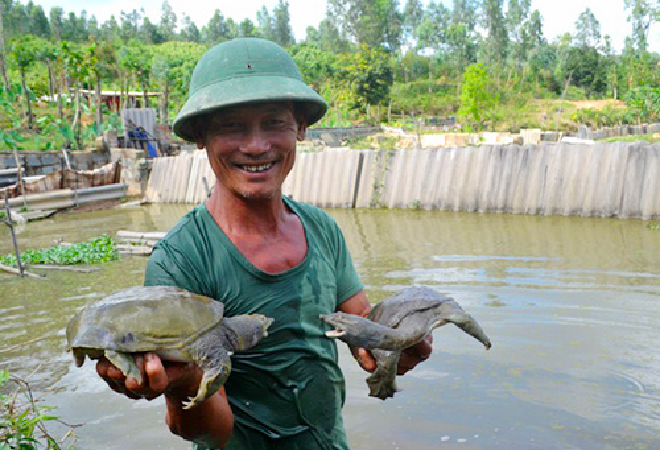 Nhiều nông dân khởi nghiệp từ ba ba đã gặt hái được thành công.