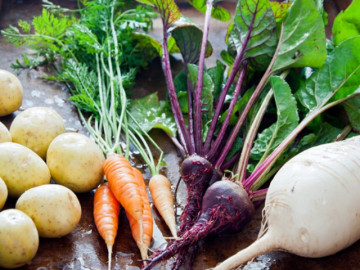 Ăn rau gì chữa bệnh trĩ?