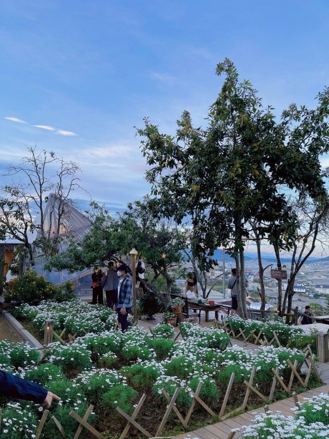 amp;#34;Nghiệnamp;#34; Đà Lạt, cô gái 25 tuổi ở hẳn nửa tháng cho thỏa nỗi nhớ nhung - 16