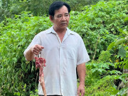 Bếp Eva - Cảnh nghệ sĩ Quang Tèo cầm đuôi lợn khiến fan nghĩ ngay tới món ngon