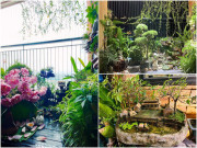 Nhà đẹp - Mẹ đảm Hà Nội mang vườn cây thác nước lên ban công 3m2, biến căn hộ chung cư thành không gian siêu chill