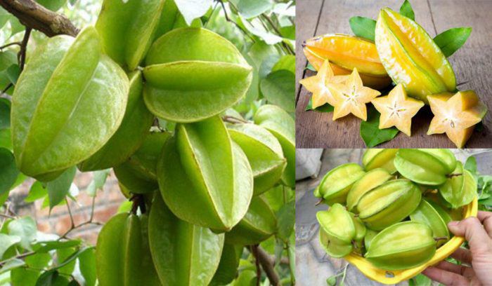 Loại quả xưa có đầy không ai hái, nay làm thành món đặc sản lạ chị em thành phố thích mê, 130.000 đồng/kg - 3