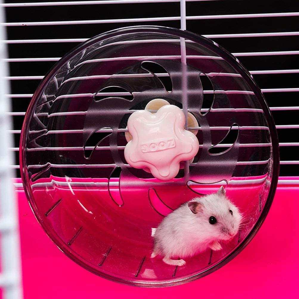 Chuột Hamster - Phân loại, giá cả và cơ hội bảo vệ con chuột đẹp mắt mạnh bạo - 19