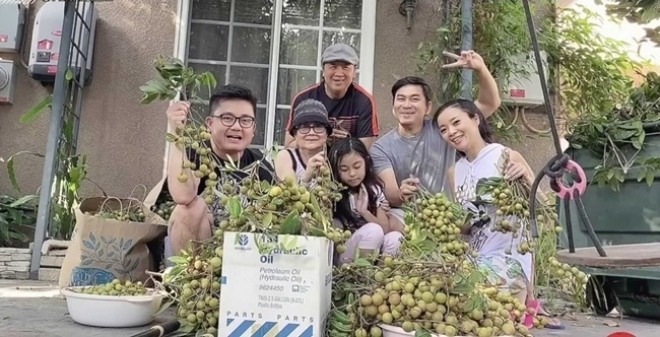 Về già sống an nhàn ở nước ngoài: Nghệ sĩ Chế Linh, Hương Lan trồng rau, quả cây lúc lỉu quả - 9
