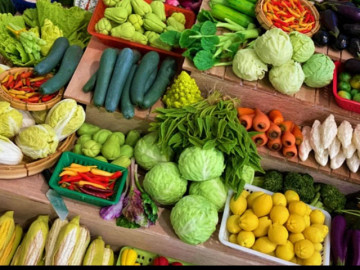 Bị sỏi thận có nên ăn rau mồng tơi không? Những loại rau tốt cho người bị sỏi thận